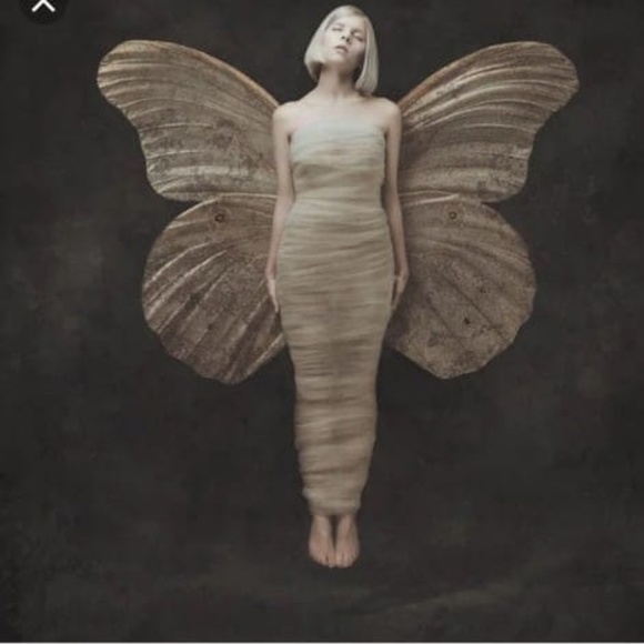 Meet your Posher, Destiny - Picture 1 of 1